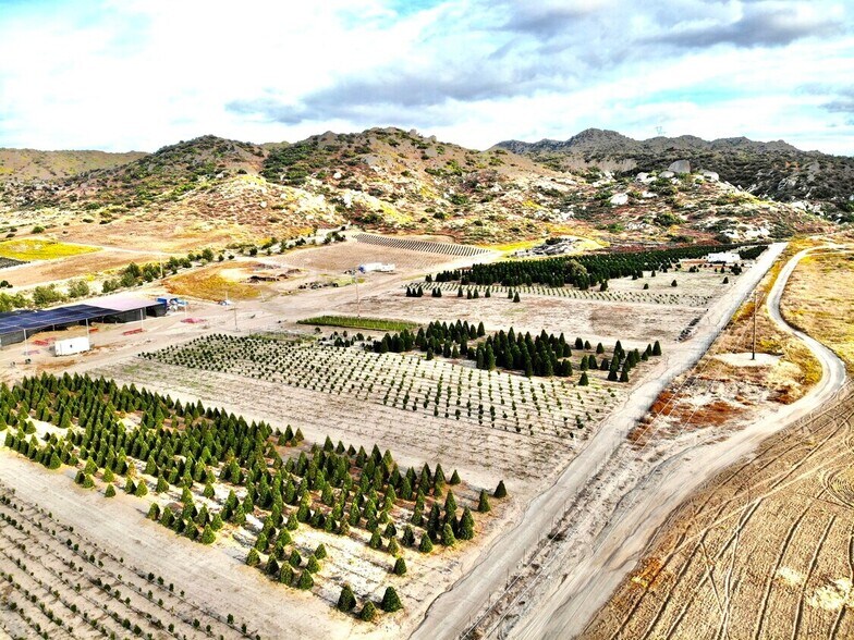 Primary Photo Of , Nuevo Land For Sale