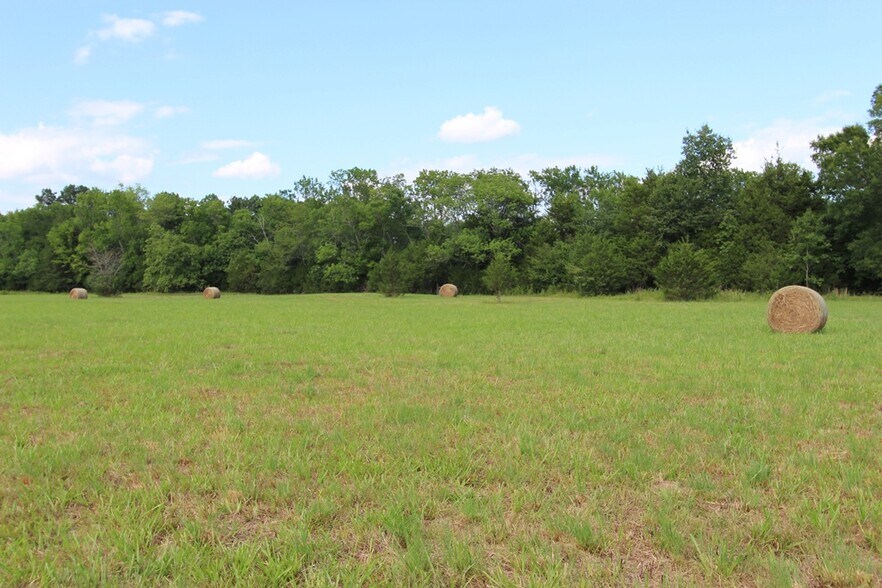 More Photos Of 278 Highway 64 E, Conway Land For Sale