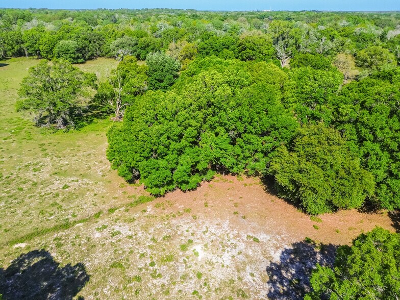 More Photos Of 12500 Hamlin Rd, Spring Hill Land For Sale