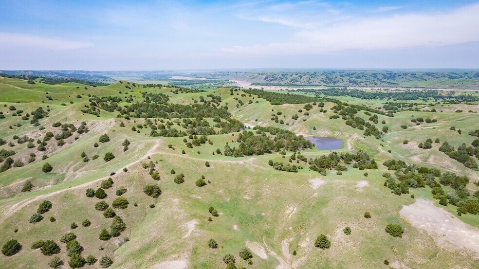 More Photos Of 21627 Hardingrove Rd, Milesville Land For Sale