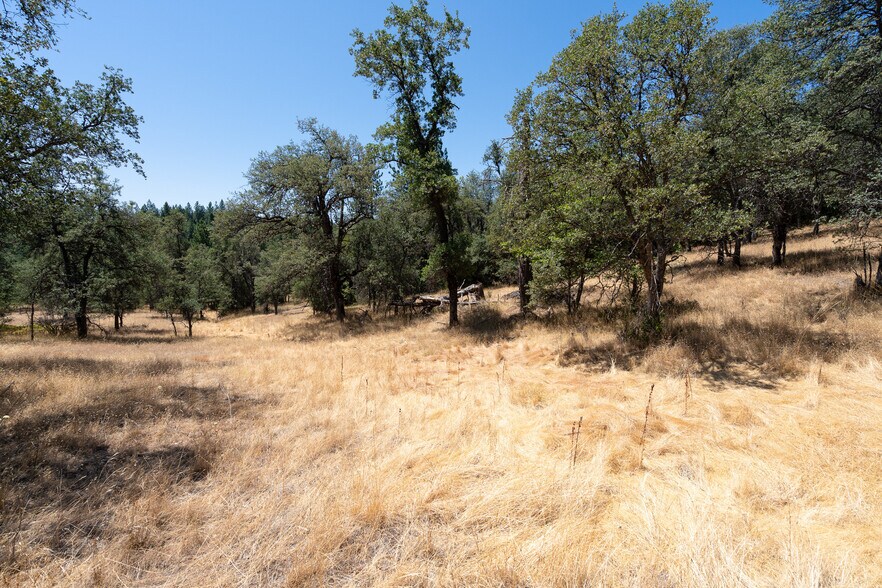 25755 State Highway 88, Pioneer, CA 95666 Land For Sale