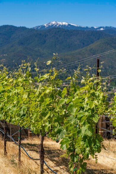 More Photos Of 786 Pompadour Dr, Ashland Land For Sale