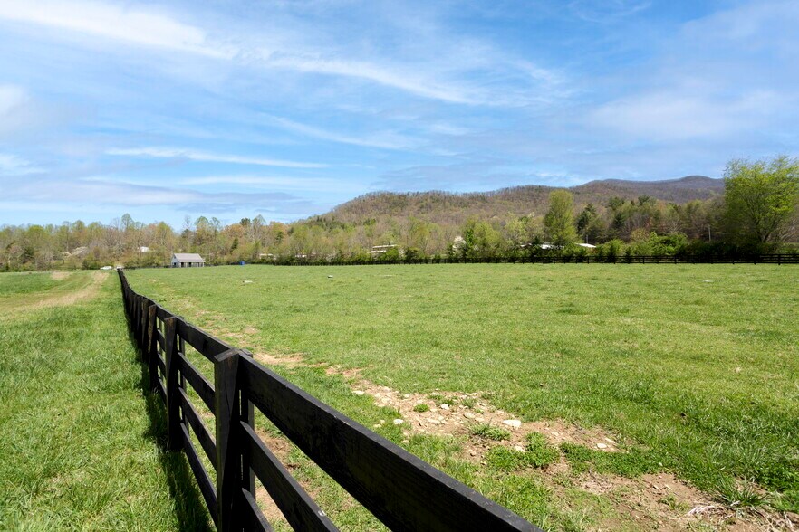 More Photos Of , Young Harris Specialty For Sale