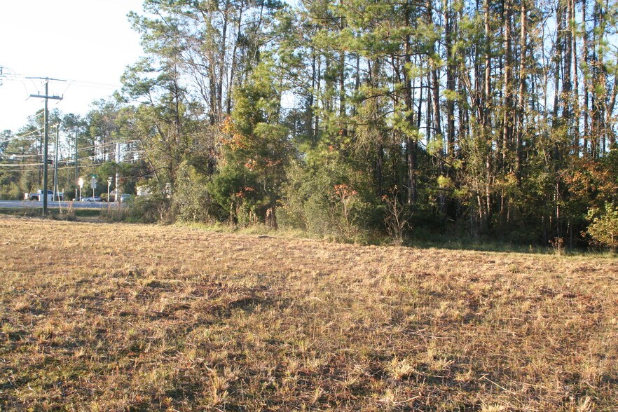 More Photos Of 542640 US Highway 1, Callahan Land For Sale