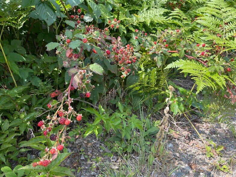 More Photos Of 26497 US-41, Covington Flex For Sale