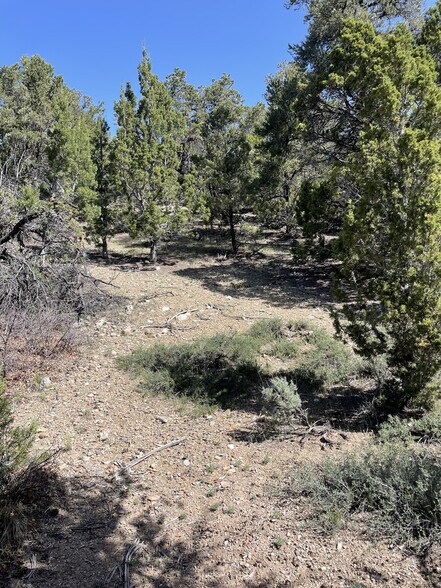 More Photos Of East Highway 89, Indianola Land For Sale