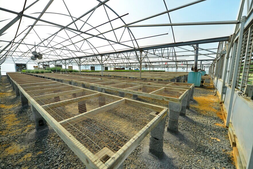 More Photos Of 39501 Meadowlark Dr, Hamilton Land For Sale