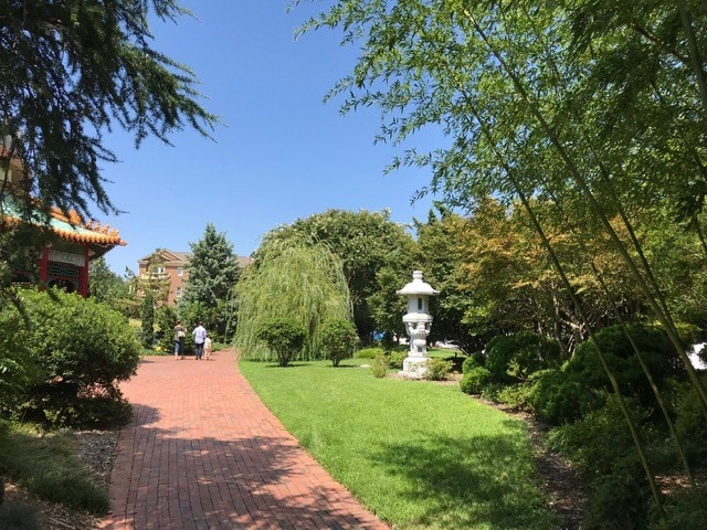 More Photos Of 215 Brooke Ave, Norfolk Office Residential For Sale