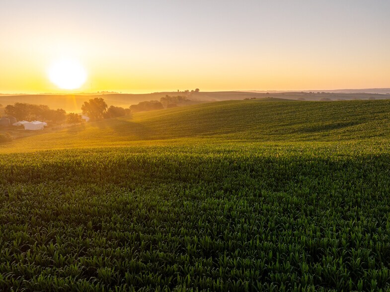 More Photos Of 2027 Nebraska 35, Hubbard Land For Sale