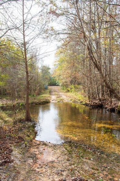 More Photos Of 409 Windward Ave, Orangeburg Land For Sale