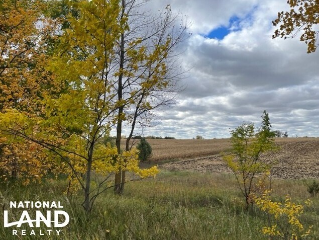 More Photos Of 820 Johnson Ave SW, Cokato Land For Sale