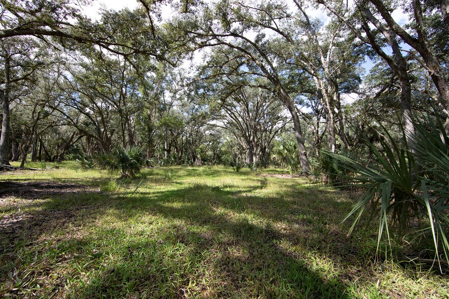 More Photos Of 4901 Oren Brown Rd, Kissimmee Land For Sale