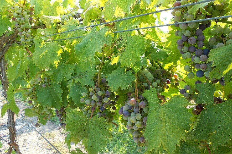 More Photos Of 14558 Ellsworth Rd, Berlin Center Specialty For Sale