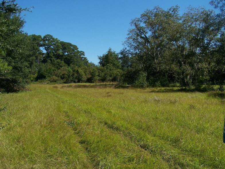 More Photos Of 5463 New Jesup HWY, Brunswick Land For Sale