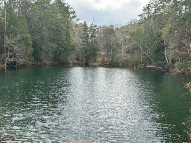 More Photos Of 740 Arbor Lake Dr, Crestview Land For Sale