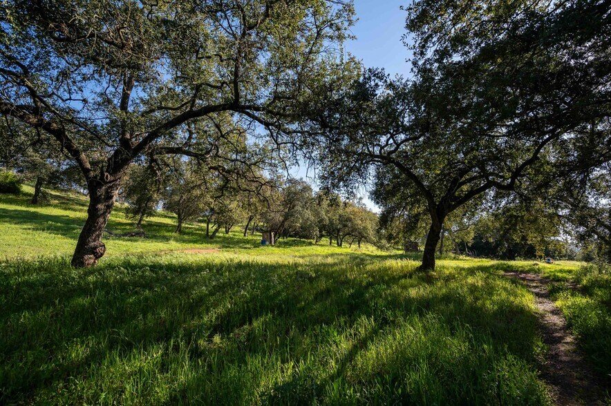More Photos Of 26086 Bear Valley Heights Rd, Escondido Land For Sale