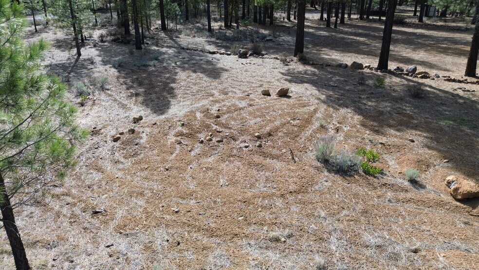 More Photos Of 42451 Blue Heron cir, Old Station Land For Sale