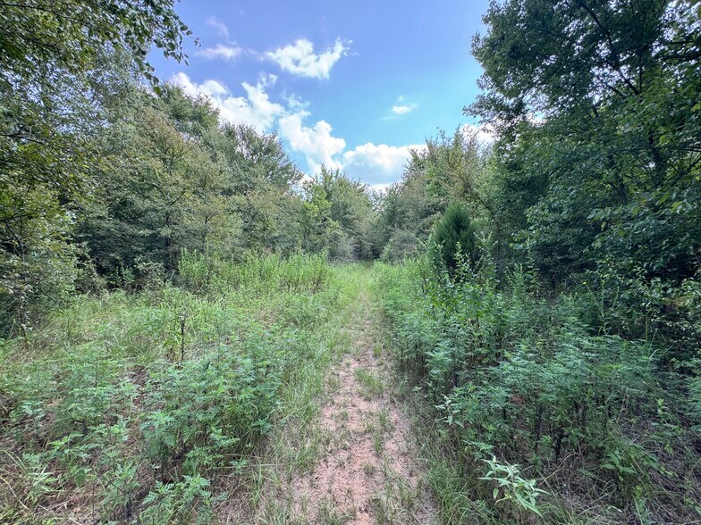 More Photos Of 000 Meadow View Ln, Flint Land For Sale