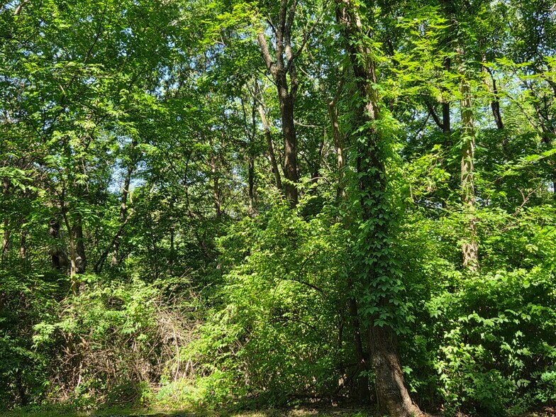 More Photos Of 11000 Skylark SE dr, Huntsville Land For Sale