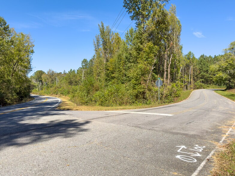 More Photos Of 00 Hwy 411 hwy, Tennga Land For Sale