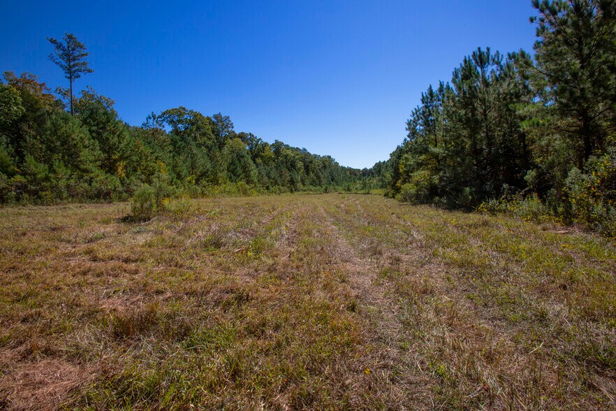 More Photos Of Walter Bright Road & 15-501, Sanford Land For Sale