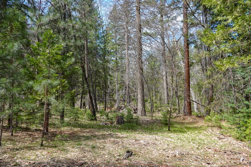 More Photos Of 9936 Sniktaw Ln, Fort Jones Land For Sale