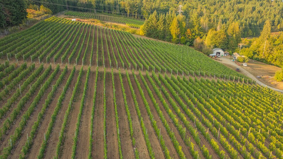 More Photos Of , Duncan Winery Vineyard For Sale