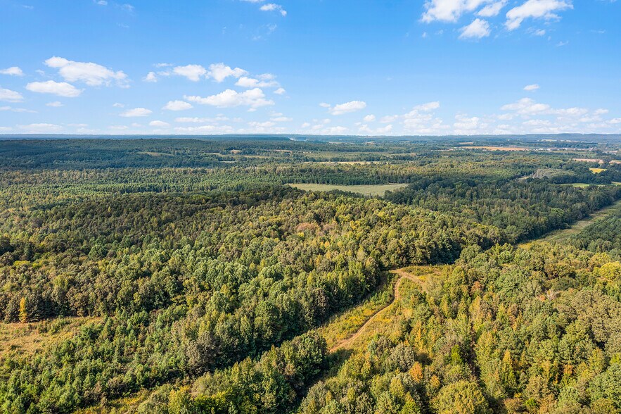 More Photos Of 410 Gladden Rd, Counce Land For Sale