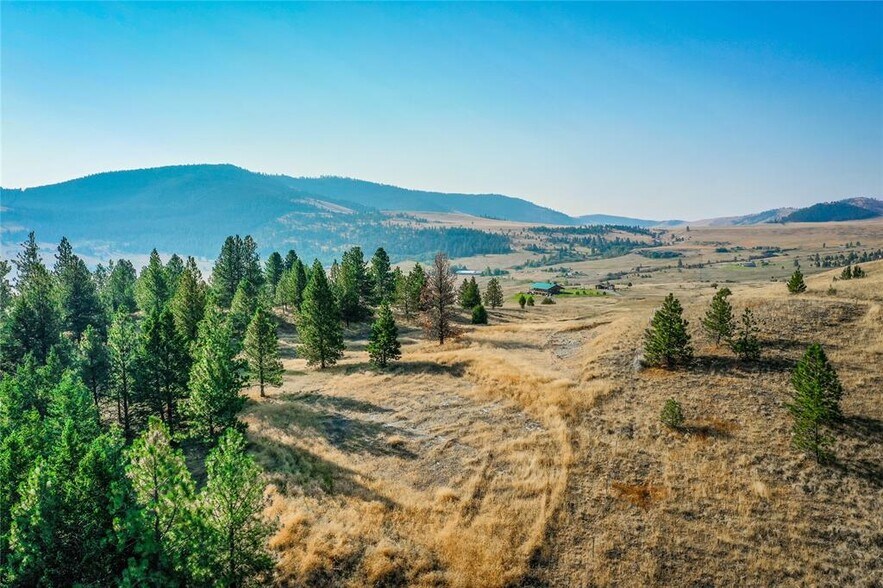 More Photos Of 29011 Walking Horse Ln, Big Arm Land For Sale