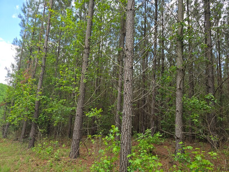 More Photos Of Davis Lake Rd @ Old Talbotton Rd, Thomaston Land For Sale