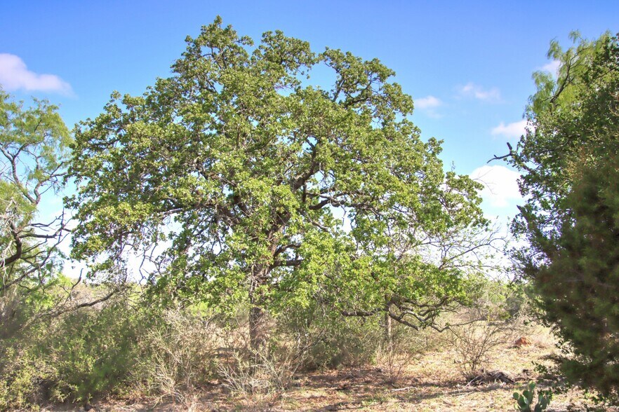 More Photos Of FM 574, Goldthwaite Land For Sale