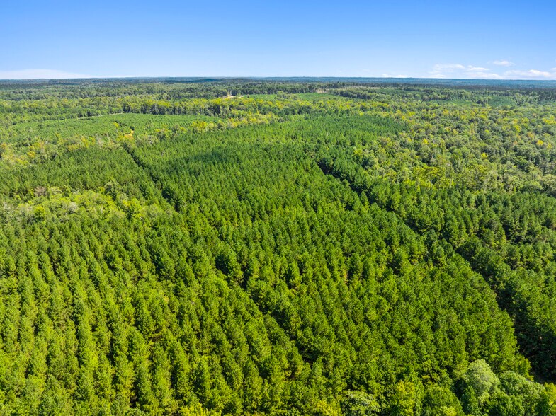 More Photos Of 7471 Highway 155, Saline Land For Sale