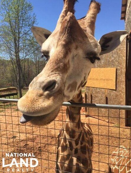 More Photos Of 448 Pilch Rd, Troutman Land For Sale