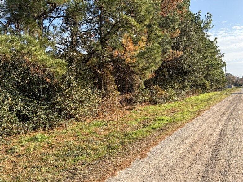 More Photos Of 2995 Pecan Ave, Waller Land For Sale