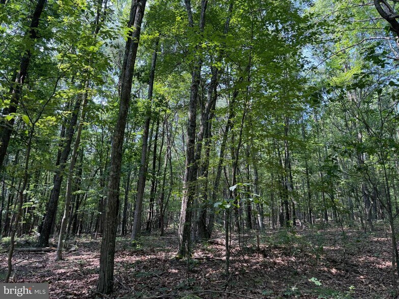 More Photos Of Porter's Ln, Hancock Land For Sale