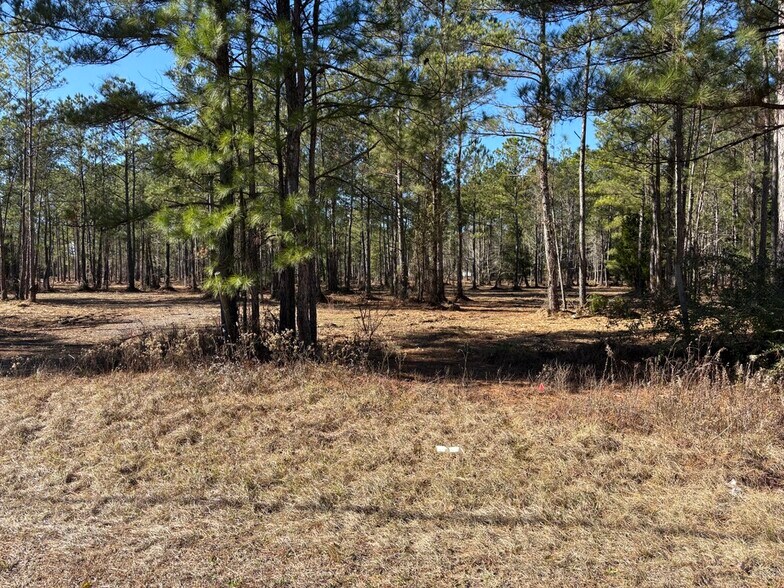 More Photos Of North Fraser St, Georgetown Land For Sale