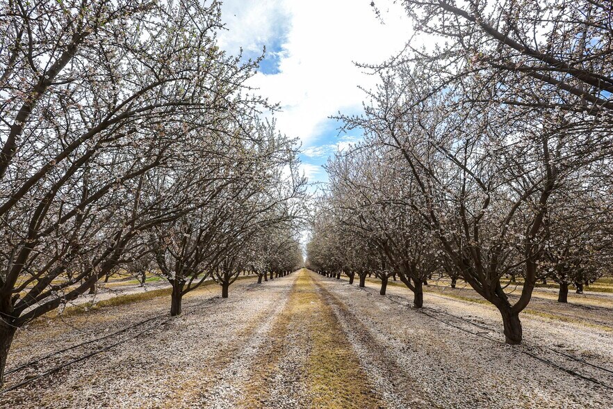 More Photos Of 7581 E Kings Canyon Rd, Fresno Land For Sale