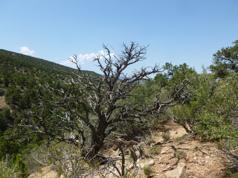 More Photos Of 680 SO Hwy, Cedar City Land For Sale
