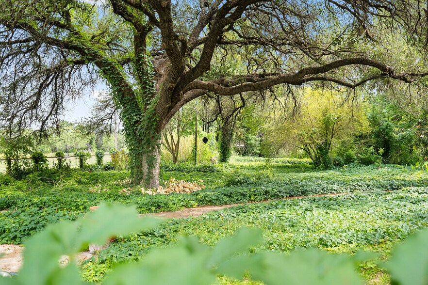 More Photos Of 534 County Road 407, Spicewood Land For Sale