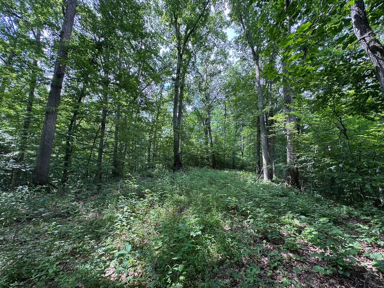 More Photos Of 8441 Millertown Rd SE, Corning Land For Sale