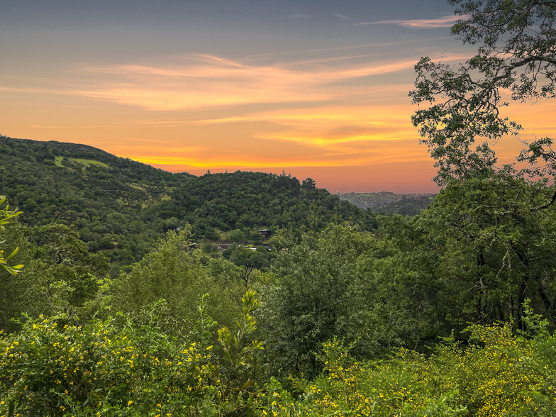 Primary Photo Of Bolinas Road, Fairfax Land For Sale