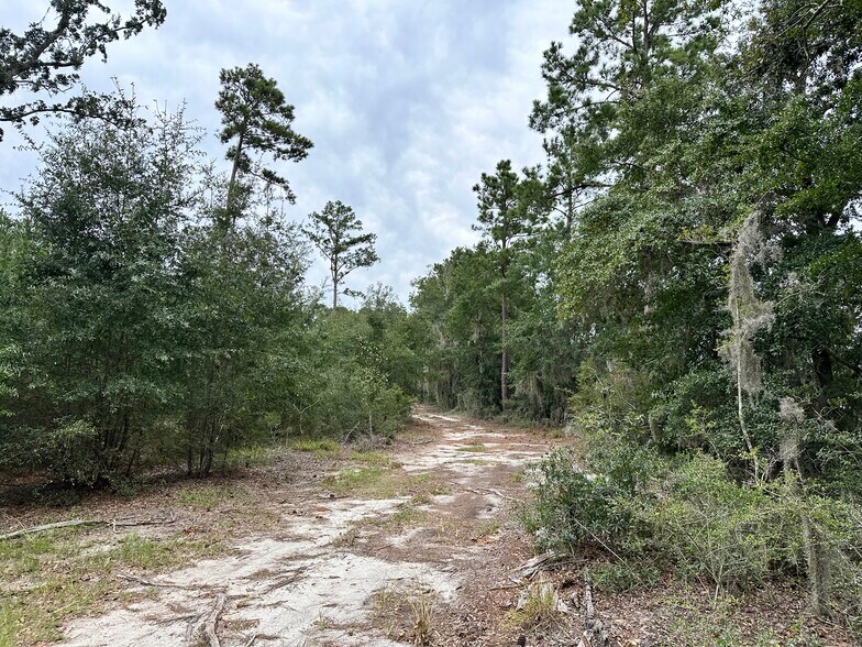 More Photos Of 214A Seabrook Rd, Seabrook Land For Sale