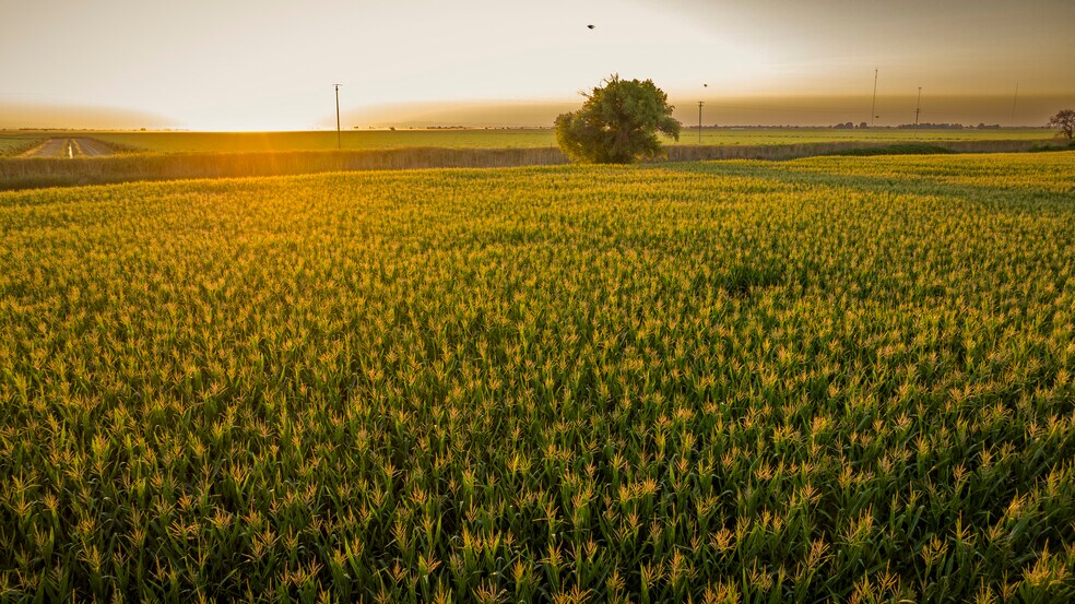More Photos Of TFC Ranch, Lodi Land For Sale
