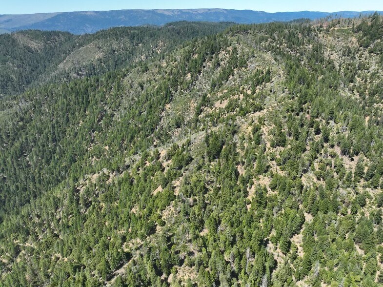 More Photos Of 2510 Fs rd, Hyampom Land For Sale