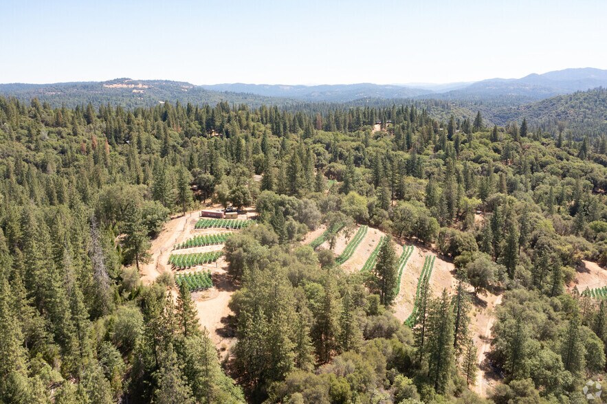 More Photos Of 2883 N Railroad Flat Rd, Wilseyville Land For Sale