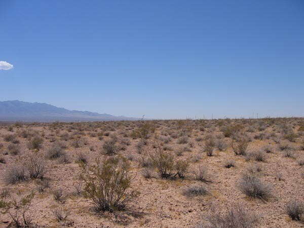 More Photos Of 590 N Virgin Acres Blvd, Littlefield Land For Sale