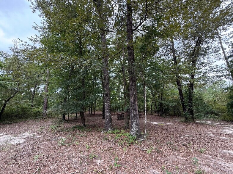 More Photos Of 2251 Boy Scout Rd, Byron Land For Sale