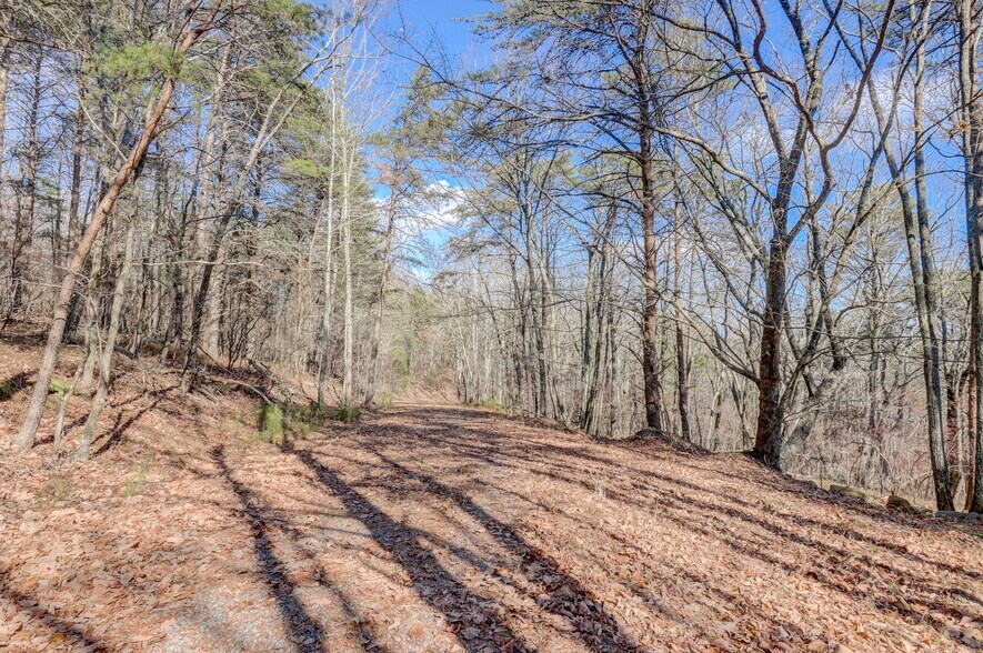 More Photos Of 1915 Tower Trl, Waleska Land For Sale