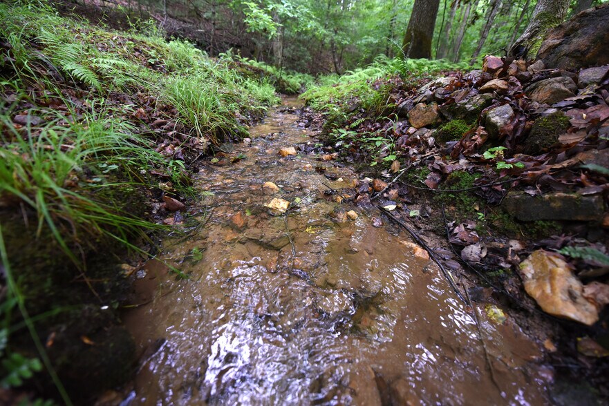 More Photos Of 1489 Boy Scout Rd, Blairsville Land For Sale