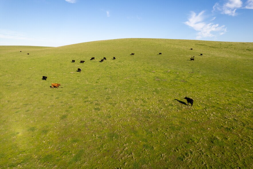 More Photos Of 2484 Camino Diablo, Byron Land For Sale